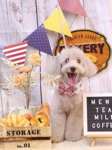 20240927ロンくん